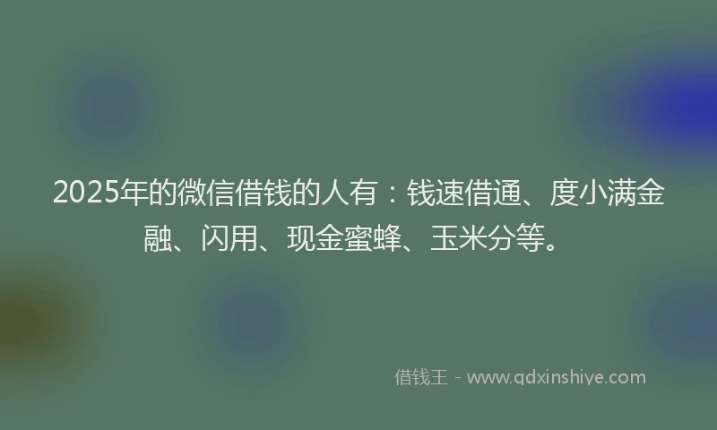 2025年的微信借钱的人有：钱速借通、度小满金融、闪用、现金蜜蜂、玉米分等。