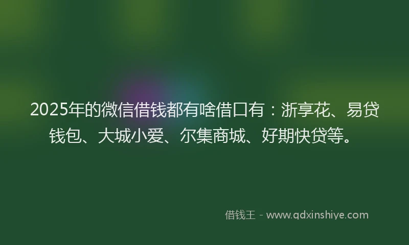 2025年的微信借钱都有啥借口有：浙享花、易贷钱包、大城小爱、尔集商城、好期快贷等。