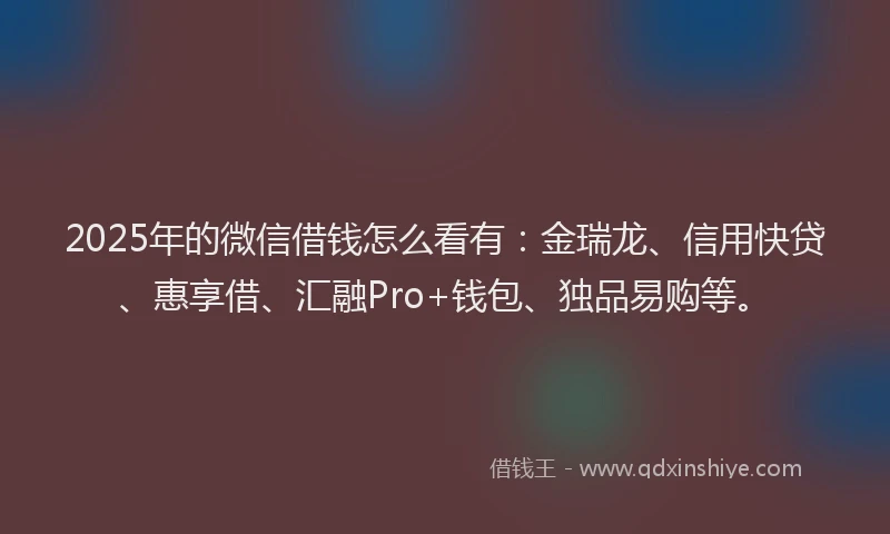 2025年的微信借钱怎么看有：金瑞龙、信用快贷、惠享借、汇融Pro+钱包、独品易购等。