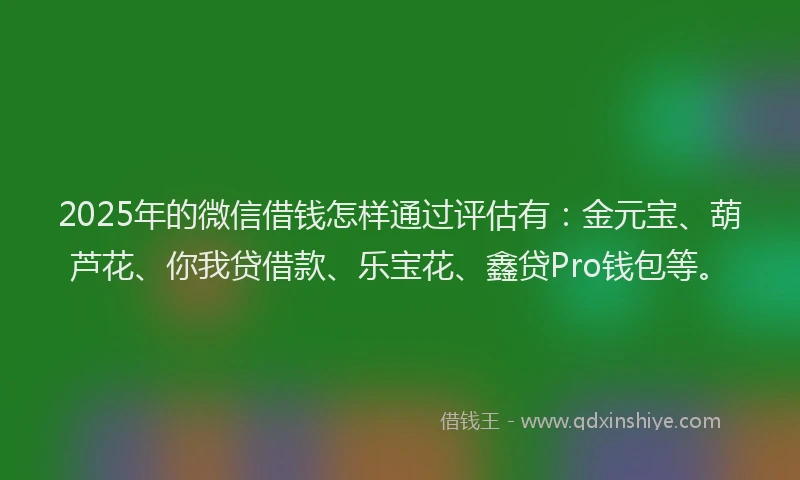 2025年的微信借钱怎样通过评估有：金元宝、葫芦花、你我贷借款、乐宝花、鑫贷Pro钱包等。