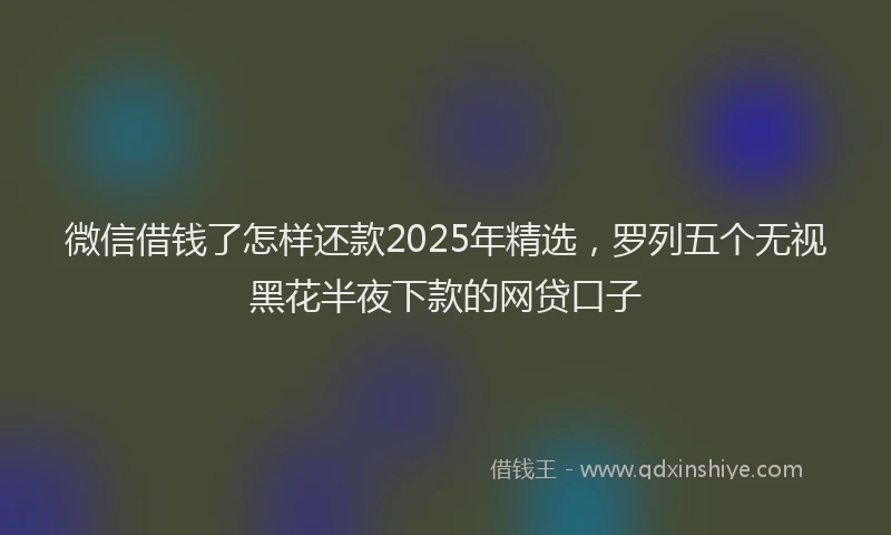 微信借钱了怎样还款2025年精选，罗列五个无视黑花半夜下款的网贷口子