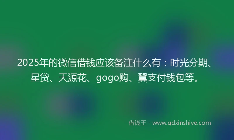 2025年的微信借钱应该备注什么有：时光分期、星贷、天源花、gogo购、翼支付钱包等。