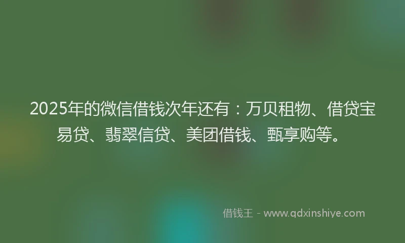 2025年的微信借钱次年还有：万贝租物、借贷宝易贷、翡翠信贷、美团借钱、甄享购等。