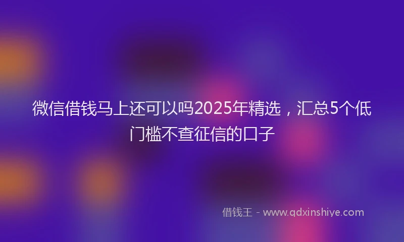 微信借钱马上还可以吗2025年精选，汇总5个低门槛不查征信的口子