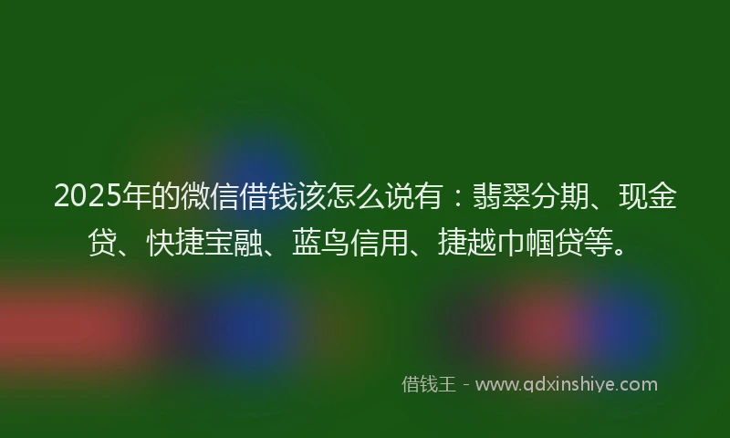 2025年的微信借钱该怎么说有：翡翠分期、现金贷、快捷宝融、蓝鸟信用、捷越巾帼贷等。