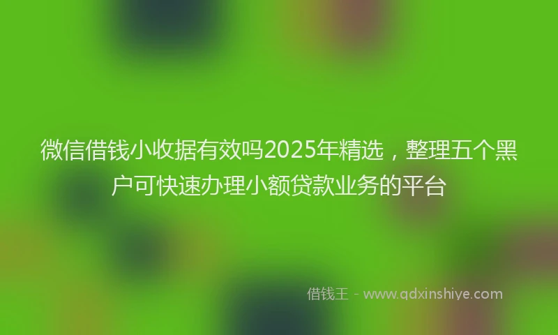 微信借钱小收据有效吗2025年精选，整理五个黑户可快速办理小额贷款业务的平台