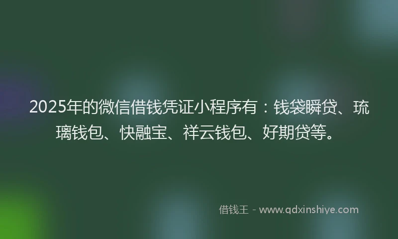 2025年的微信借钱凭证小程序有：钱袋瞬贷、琉璃钱包、快融宝、祥云钱包、好期贷等。
