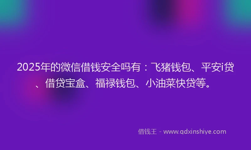 2025年的微信借钱安全吗有：飞猪钱包、平安i贷、借贷宝盒、福禄钱包、小油菜快贷等。