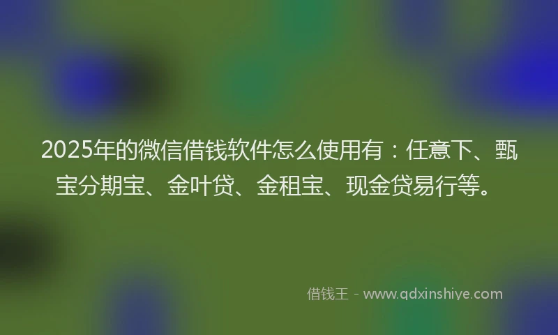 2025年的微信借钱软件怎么使用有：任意下、甄宝分期宝、金叶贷、金租宝、现金贷易行等。