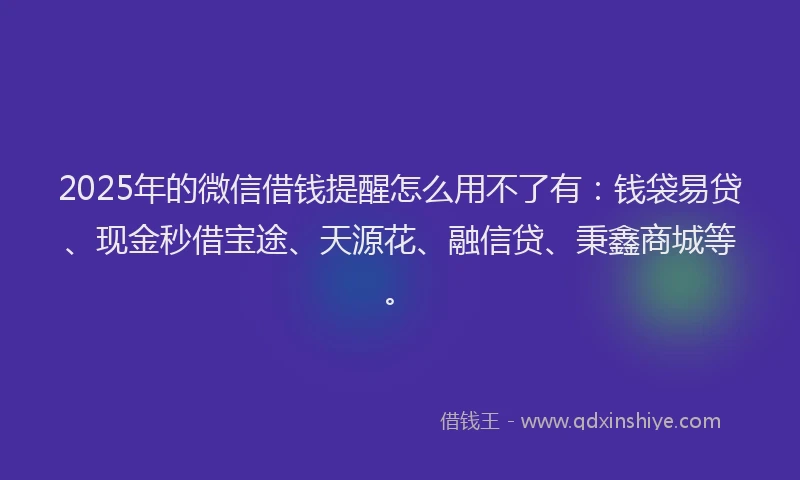 2025年的微信借钱提醒怎么用不了有：钱袋易贷、现金秒借宝途、天源花、融信贷、秉鑫商城等。