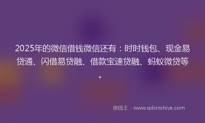 2025年的微信借钱微信还有：时时钱包、现金易贷通、闪借易贷融、借款宝速贷融、蚂蚁微贷等。