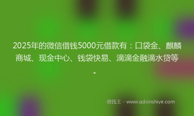 2025年的微信借钱5000元借款有：口袋金、麒麟商城、现金中心、钱袋快易、滴滴金融滴水贷等。