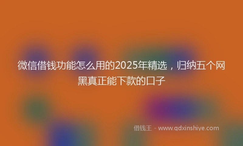 微信借钱功能怎么用的2025年精选，归纳五个网黑真正能下款的口子
