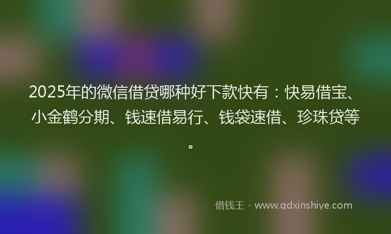 2025年的微信借贷哪种好下款快有：快易借宝、小金鹤分期、钱速借易行、钱袋速借、珍珠贷等。