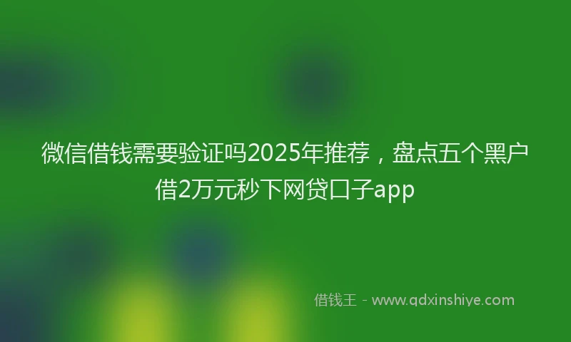 微信借钱需要验证吗2025年推荐，盘点五个黑户借2万元秒下网贷口子app