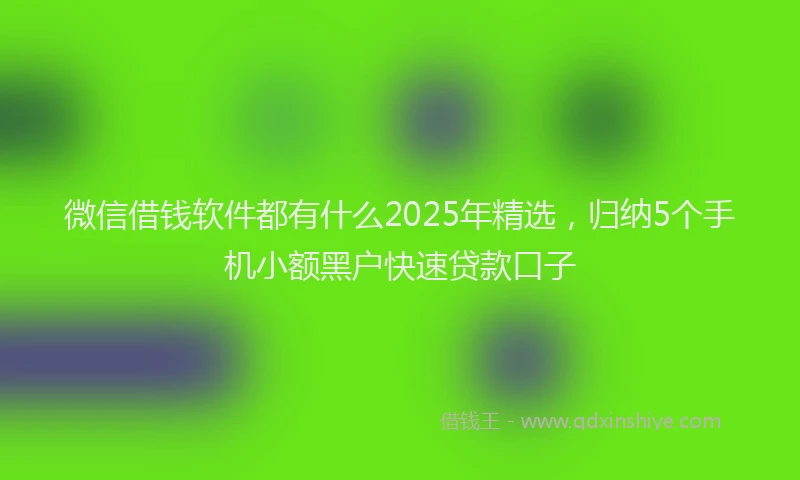 微信借钱软件都有什么2025年精选，归纳5个手机小额黑户快速贷款口子