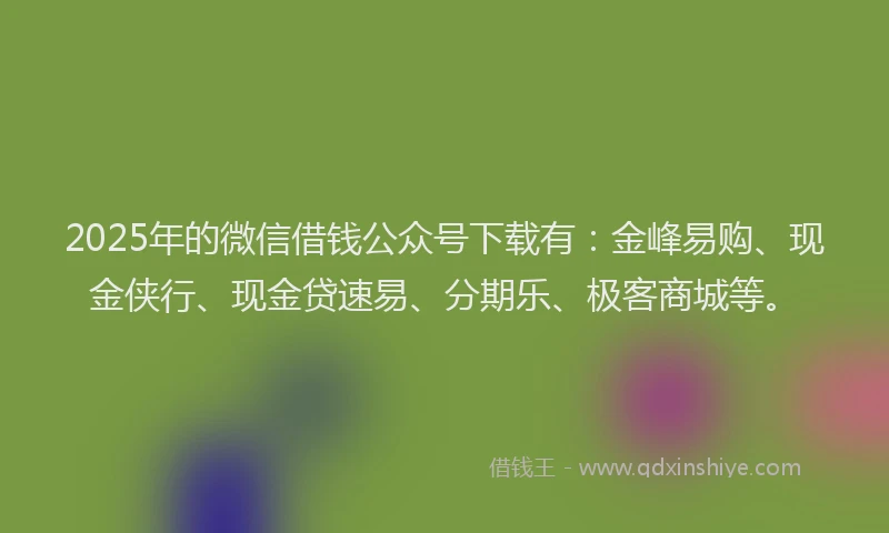 2025年的微信借钱公众号下载有：金峰易购、现金侠行、现金贷速易、分期乐、极客商城等。