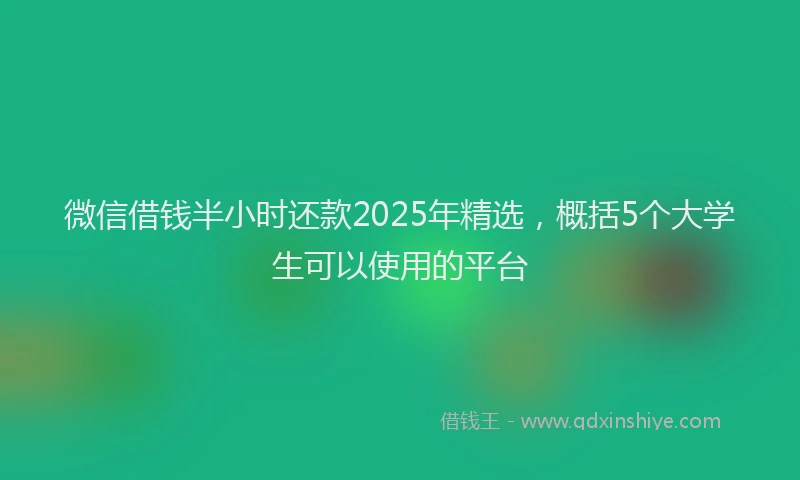 微信借钱半小时还款2025年精选，概括5个大学生可以使用的平台