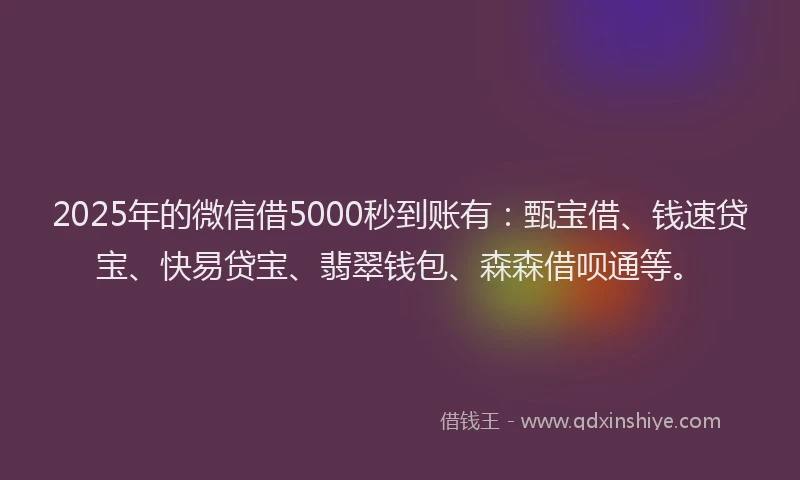 2025年的微信借5000秒到账有：甄宝借、钱速贷宝、快易贷宝、翡翠钱包、森森借呗通等。