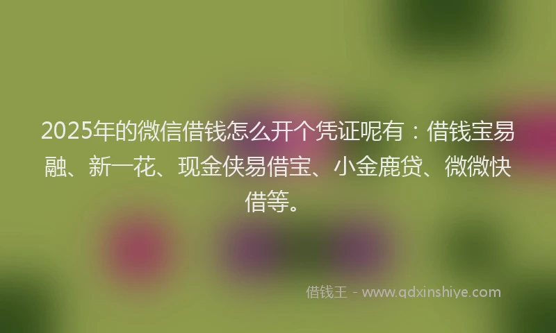 2025年的微信借钱怎么开个凭证呢有：借钱宝易融、新一花、现金侠易借宝、小金鹿贷、微微快借等。