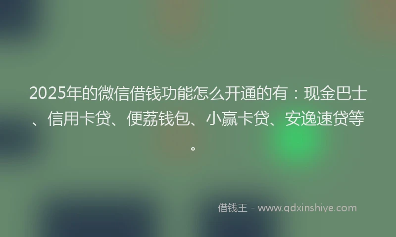 2025年的微信借钱功能怎么开通的有：现金巴士、信用卡贷、便荔钱包、小赢卡贷、安逸速贷等。