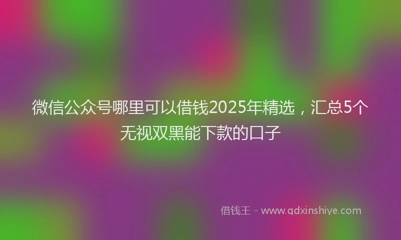 微信公众号哪里可以借钱2025年精选，汇总5个无视双黑能下款的口子