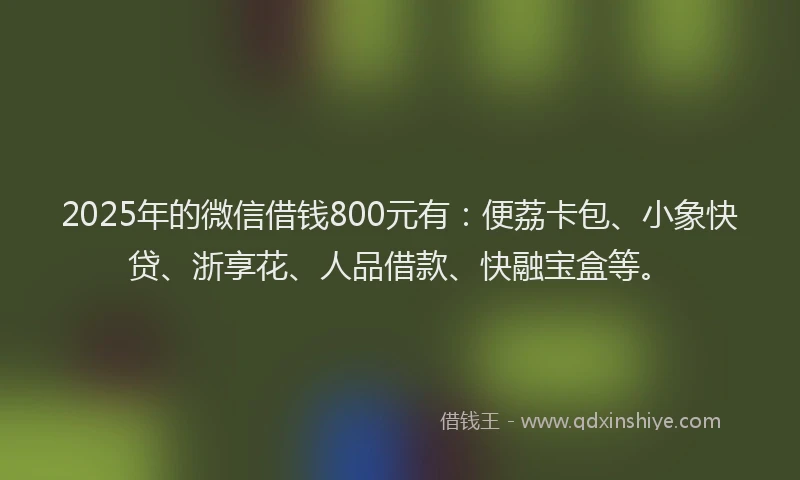 2025年的微信借钱800元有：便荔卡包、小象快贷、浙享花、人品借款、快融宝盒等。