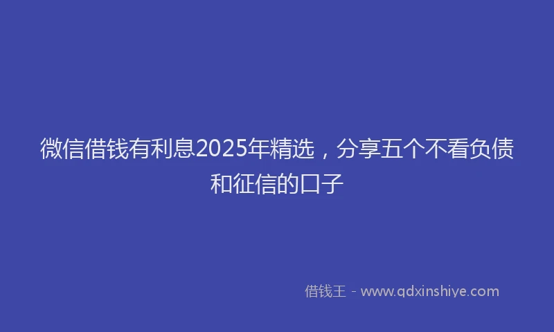 微信借钱有利息2025年精选，分享五个不看负债和征信的口子