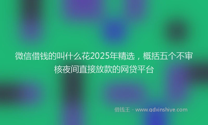 微信借钱的叫什么花2025年精选，概括五个不审核夜间直接放款的网贷平台