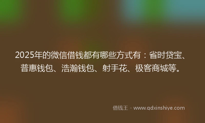 2025年的微信借钱都有哪些方式有：省时贷宝、普惠钱包、浩瀚钱包、射手花、极客商城等。