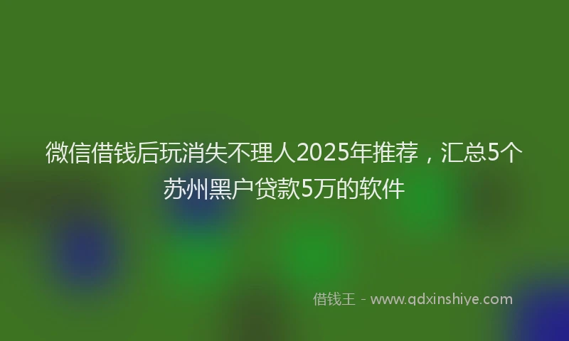 微信借钱后玩消失不理人2025年推荐，汇总5个苏州黑户贷款5万的软件