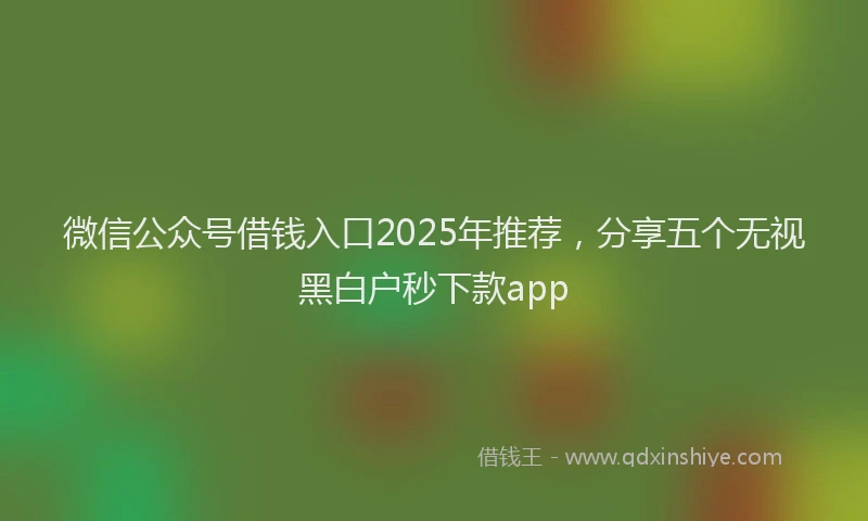 微信公众号借钱入口2025年推荐，分享五个无视黑白户秒下款app