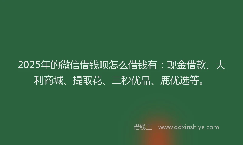 2025年的微信借钱呗怎么借钱有：现金借款、大利商城、提取花、三秒优品、鹿优选等。