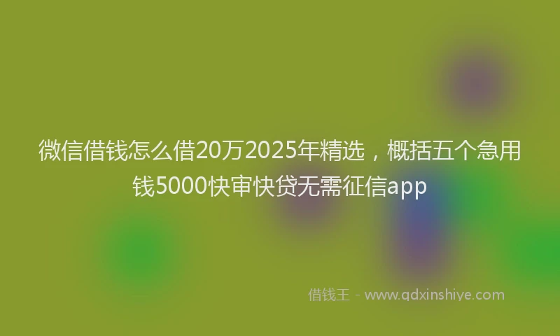微信借钱怎么借20万2025年精选，概括五个急用钱5000快审快贷无需征信app