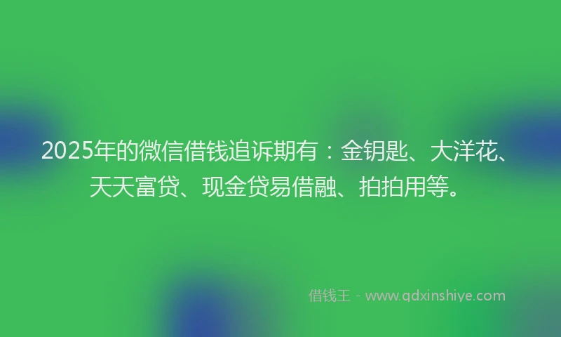2025年的微信借钱追诉期有：金钥匙、大洋花、天天富贷、现金贷易借融、拍拍用等。