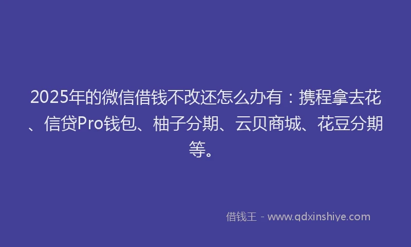 2025年的微信借钱不改还怎么办有：携程拿去花、信贷Pro钱包、柚子分期、云贝商城、花豆分期等。