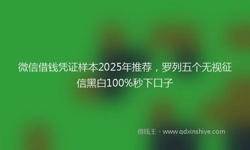 微信借钱凭证样本2025年推荐，罗列五个无视征信黑白100%秒下口子