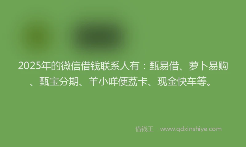 2025年的微信借钱联系人有：甄易借、萝卜易购、甄宝分期、羊小咩便荔卡、现金快车等。