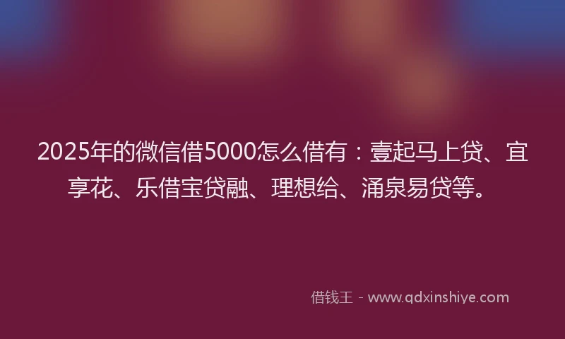 2025年的微信借5000怎么借有：壹起马上贷、宜享花、乐借宝贷融、理想给、涌泉易贷等。