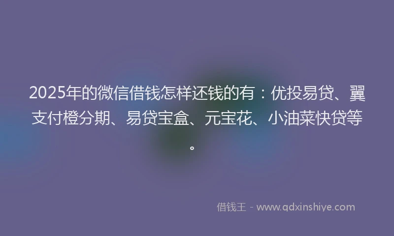2025年的微信借钱怎样还钱的有：优投易贷、翼支付橙分期、易贷宝盒、元宝花、小油菜快贷等。