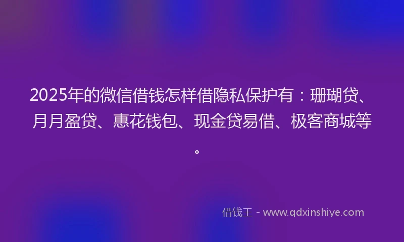 2025年的微信借钱怎样借隐私保护有：珊瑚贷、月月盈贷、惠花钱包、现金贷易借、极客商城等。