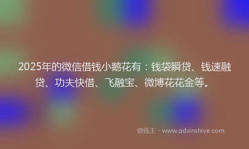 2025年的微信借钱小鹅花有：钱袋瞬贷、钱速融贷、功夫快借、飞融宝、微博花花金等。