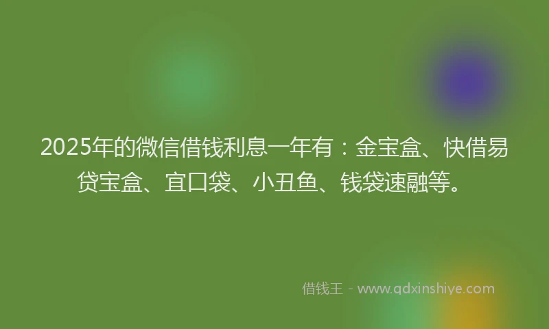 2025年的微信借钱利息一年有：金宝盒、快借易贷宝盒、宜口袋、小丑鱼、钱袋速融等。