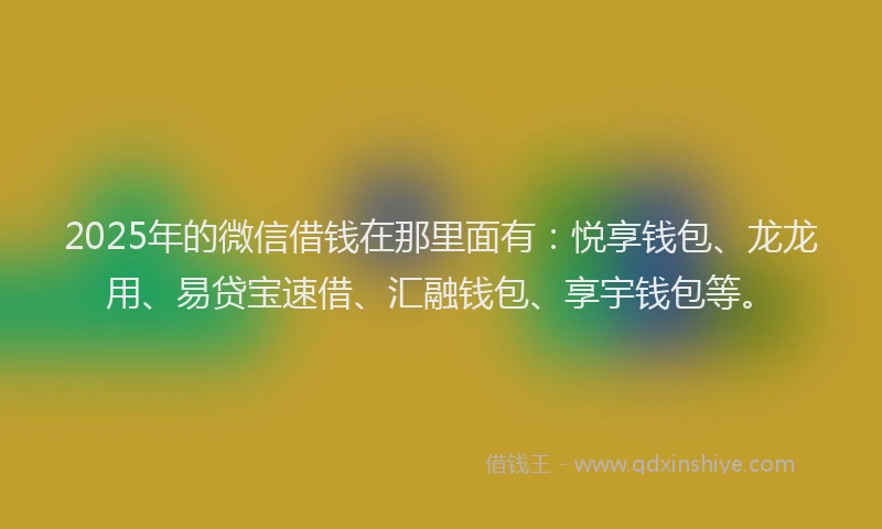 2025年的微信借钱在那里面有：悦享钱包、龙龙用、易贷宝速借、汇融钱包、享宇钱包等。