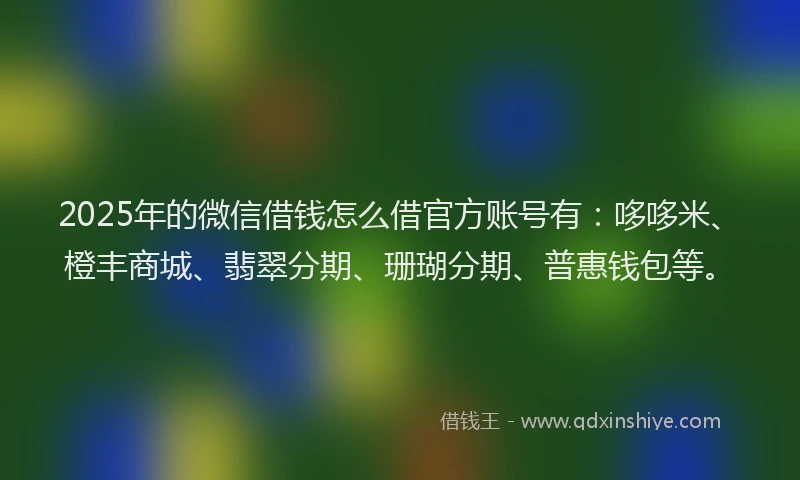 2025年的微信借钱怎么借官方账号有：哆哆米、橙丰商城、翡翠分期、珊瑚分期、普惠钱包等。
