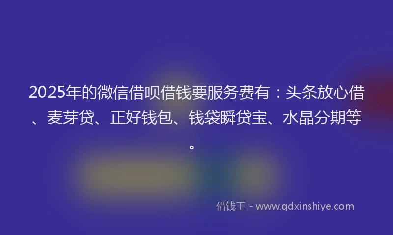 2025年的微信借呗借钱要服务费有：头条放心借、麦芽贷、正好钱包、钱袋瞬贷宝、水晶分期等。