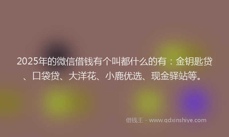 2025年的微信借钱有个叫都什么的有：金钥匙贷、口袋贷、大洋花、小鹿优选、现金驿站等。