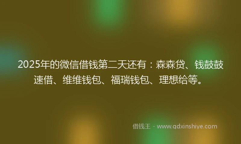 2025年的微信借钱第二天还有：森森贷、钱鼓鼓速借、维维钱包、福瑞钱包、理想给等。