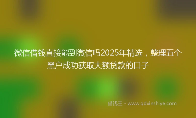 微信借钱直接能到微信吗2025年精选，整理五个黑户成功获取大额贷款的口子