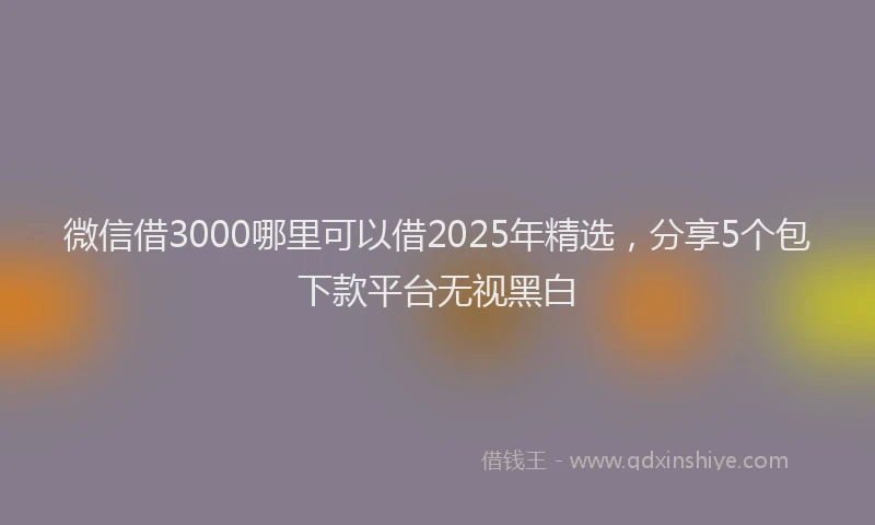 微信借3000哪里可以借2025年精选，分享5个包下款平台无视黑白